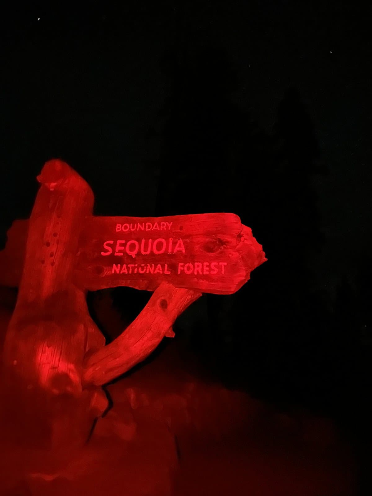 Sequoia National Park, photo 1